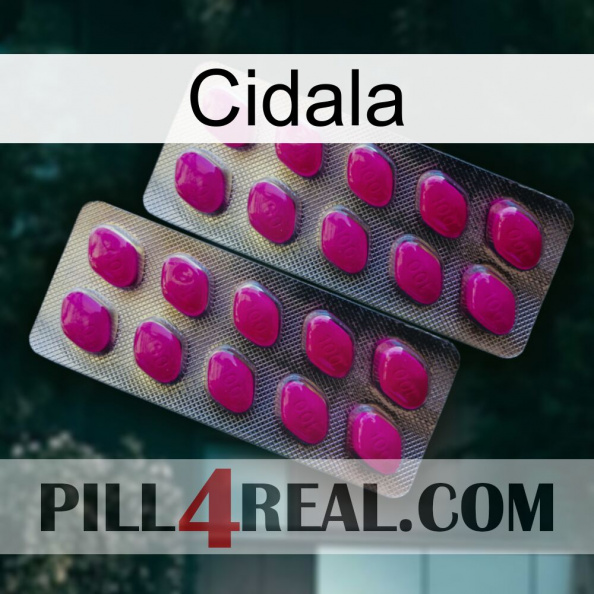 Cidala 10.jpg